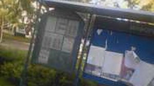 ОСЕННИЙ СЕНТЯБРЁВСКИЙ УЛИЧНЫЙ БЛОГ №1514 ДО ПАДИКА...