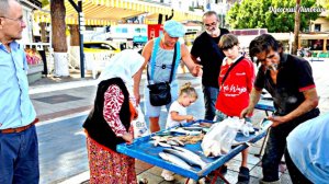 Что ловится в Средиземном море и Сколько стоит Свежая рыба? У рыбаков прямо из лодки