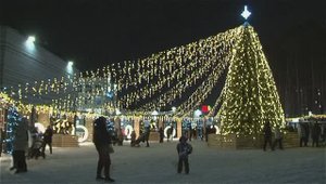 ЁЛКА НА ТРОПЕ ЗДОРОВЬЯ.2024 год.