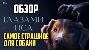 Глазами пса. Обзор. Самое страшное для собаки