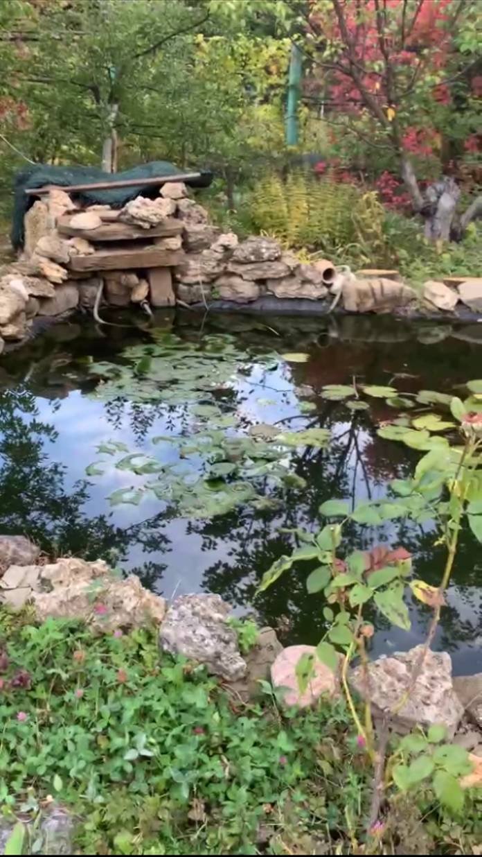 водоём на  даче. оформление арт бетон. мастерская Котлярова.