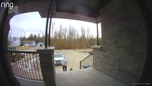 Безумно смешные неудачи, которые вам нужно увидеть - Лучшие смешные видео