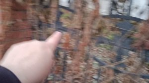 Пешком,где было детство