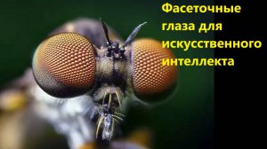 Фасеточные глаза для искусственного интеллекта