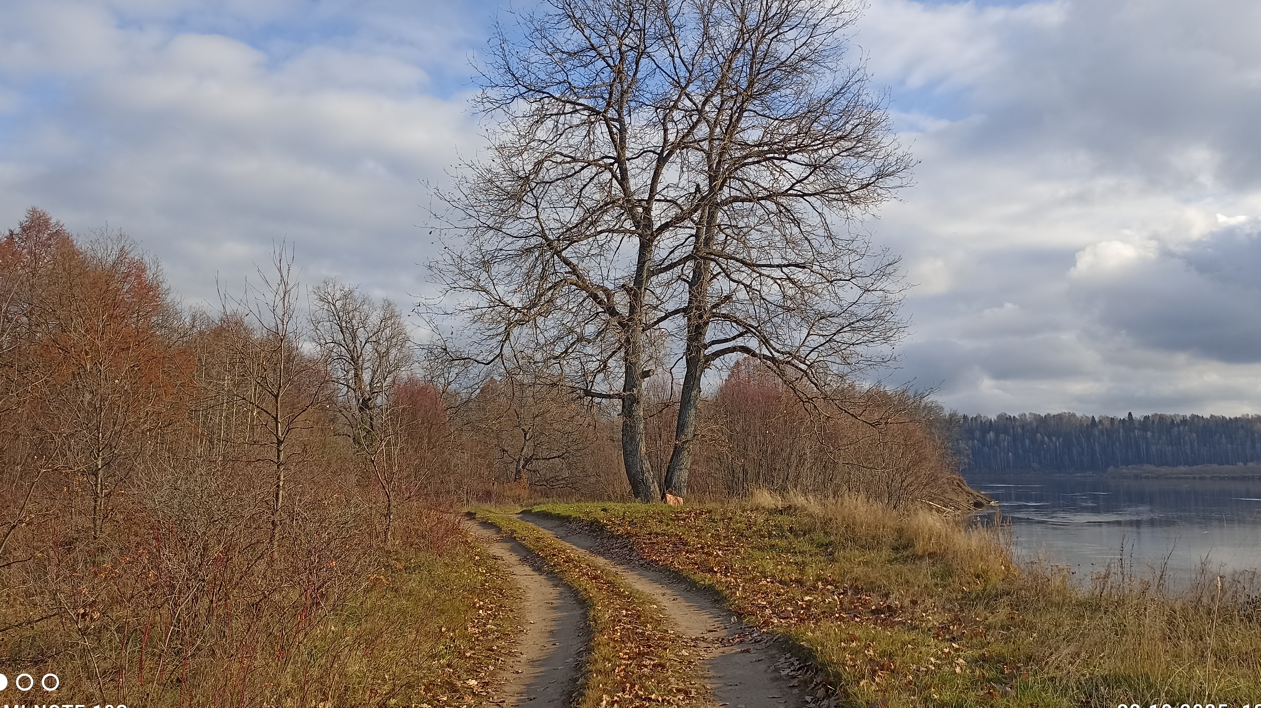 Осенняя грусть октября и прекрасная музыка 2025 года.