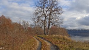 Осенняя грусть октября и прекрасная музыка 2025 года.