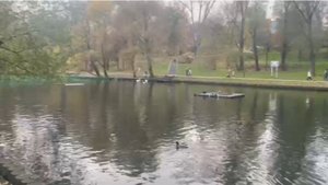 Лебединое озеро. Москва.Ботанический сад.