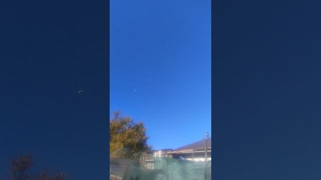 г. Мариупольские .Дедовские голуби смотреть онлайн