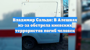 Владимир Сальдо: В Алешках из-за обстрела киевских террористов погиб человек