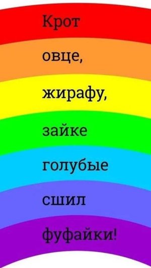 СП "Радуга 4" Зелёная неделя. участник 9