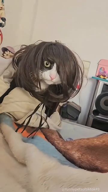 Смешные животные