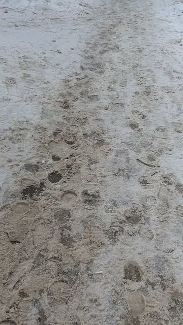 №204. ул. Газеты Звезда. 7 марта 2025 г., 10:44:46. VID_20250307_104204453