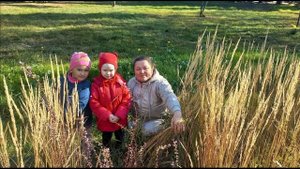 Экспедиция за природными материалами в Сад Победы