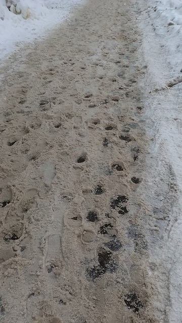 №190. ул. Полины Осипенко. 4 марта 2025 г., 10:21:40. VID_20250304_102012603