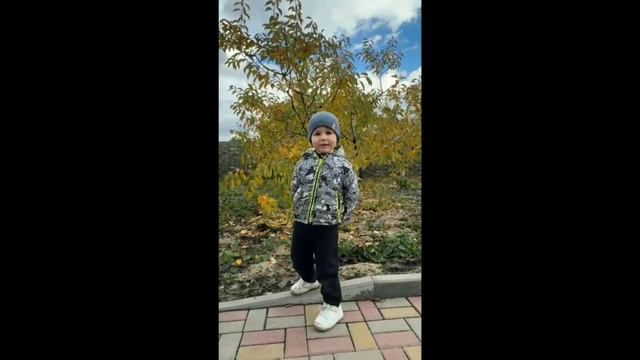 онлайн-конкурс «Осенняя поэзия» Орлов Михаил, группа 1 «Теремок»