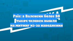 Pais: в Валенсии более 50 тысяч человек вышли на митинг из-за наводнения