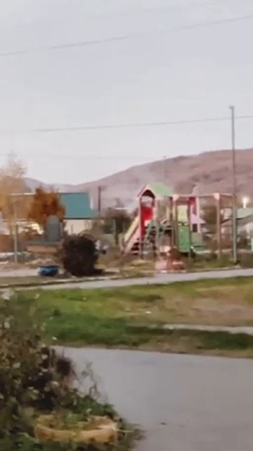 «Я тоже хочу играть!» Косуля встала в очередь на карусель в Приморье смотреть онлайн