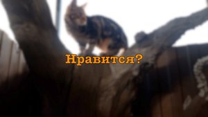 Закончил...