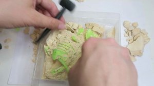 Раскопки "Светящийся Тираннозавр", компания "Десятое королевство"