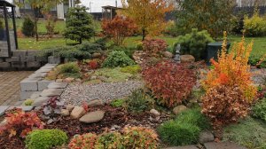 Изменения на подпорной стенке. Что еще посадить? 24-26.10.2025 восток Ленинградской области