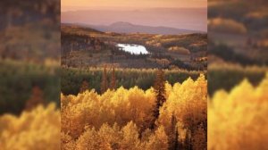 Осенний мотив.mp4