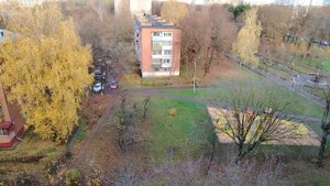 Виды осени из окна.