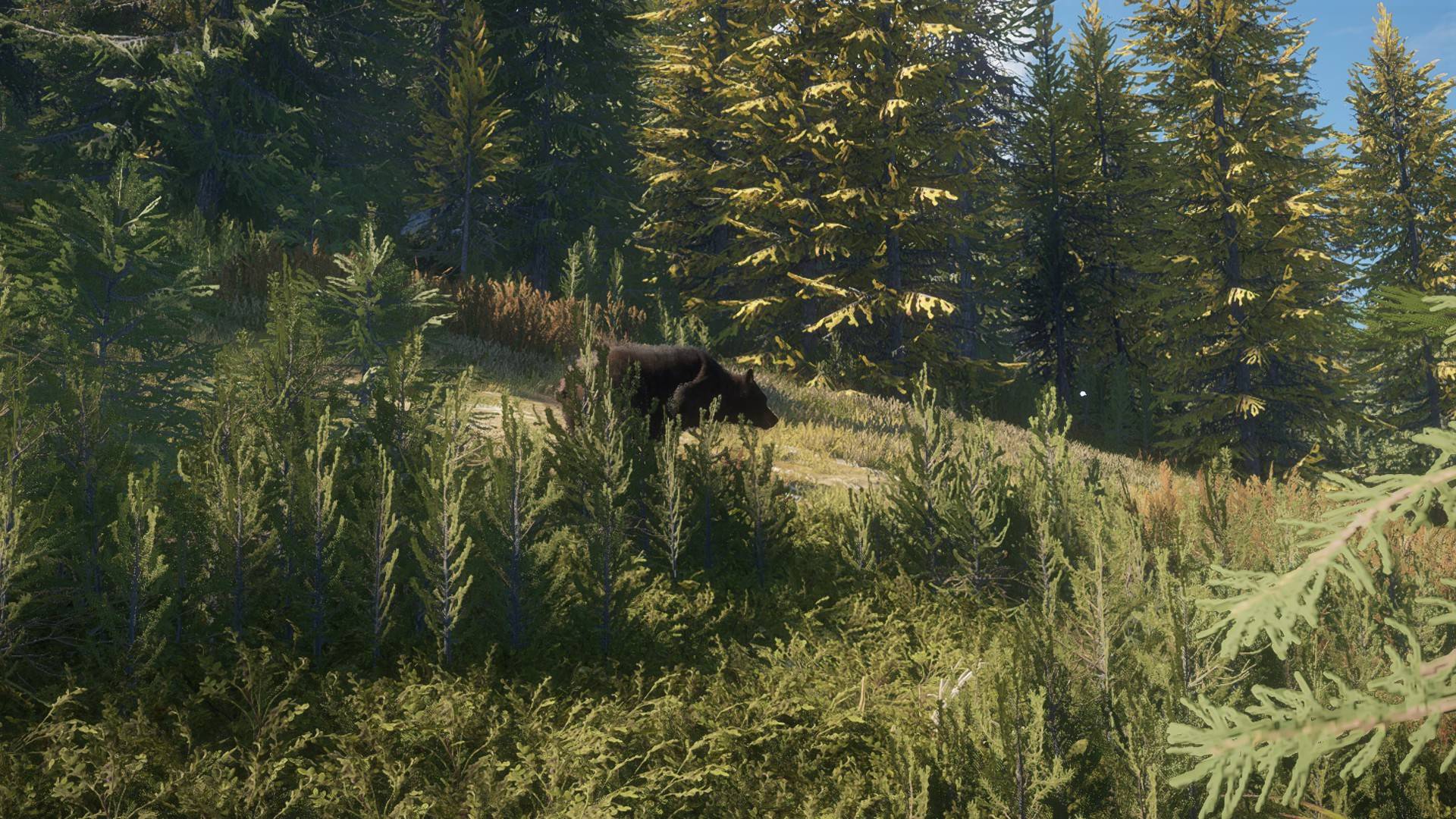 TheHunter: Call of the Wild™ ( 4иДАРАСЫ зашли ко мне в мультиплеер !!!  ( 1 час 15 мин   )