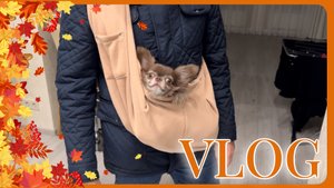 VLOG 26.10.2025 Тедька в шоке🤪