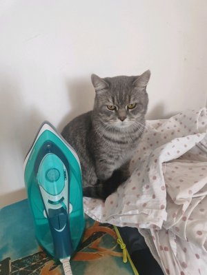 задавайте нам задания в штабе