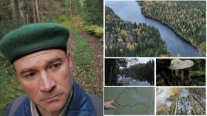 «Медвежий лес»: два часа вокруг Нижнего Анисимовского озера