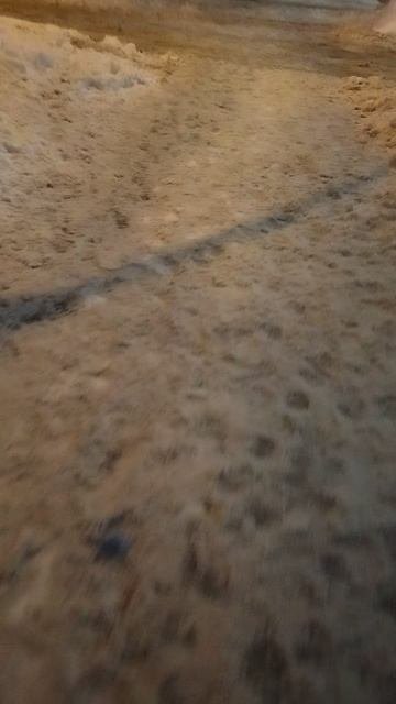 №215. ул. Газеты Звезда. 10 марта 2025 г., 21:29:06. VID_20250310_212655696