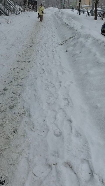 №211. ул. Полины Осипенко. 10 марта 2025 г., 10:08:57. VID_20250310_100716093