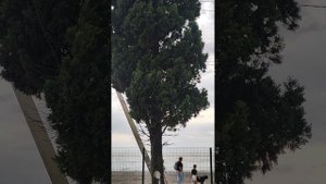 Абхазия. Алахадзы. Отель Тихая гавань.