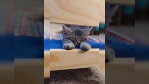 подборка по кисикам