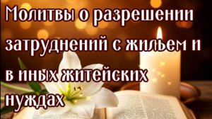 В ЖИТЕЙСКИХ НУЖДАХ, О ПРОБЛЕМАХ С ЖИЛЬЕМ СпиридонуТримифунтскому, НиколаюЧудотворцу, КсенииПетербур