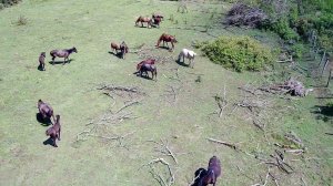 Село Дзыгута в Абхазии