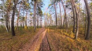 Еловое 26.10.2025
