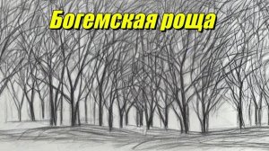 Богемская роща