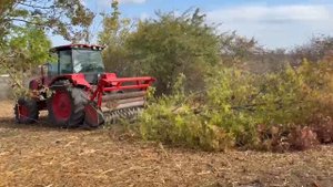 Работа мульчера SEPPI MIDIFORST dt. Расчистка заброшенного поля от деревьев и поросли