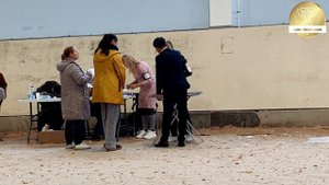 Рейтинговая выставка собак всех пород "БАЛТИК-ШОУ-2" ринг левреток. 26.10.2025 г.