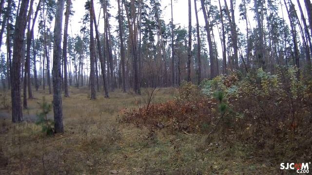 SJCAM C200 / Примеры видео