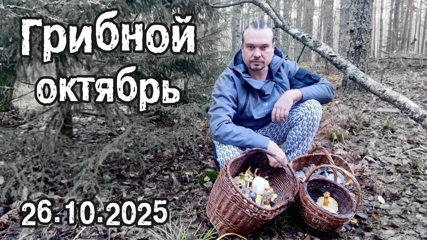 Грибной октябрь. 26.10.2025 смотреть онлайн