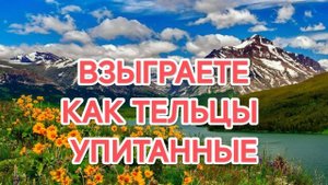 25.10.2025 РЕЛИГИЯ ФАНАТИЗМА, БЕСКОРЫСТИЯ, ТУЧНАЯ ЖИЗНЬ_
