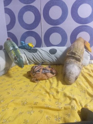 ПРОДОЛЖЕНИЕ