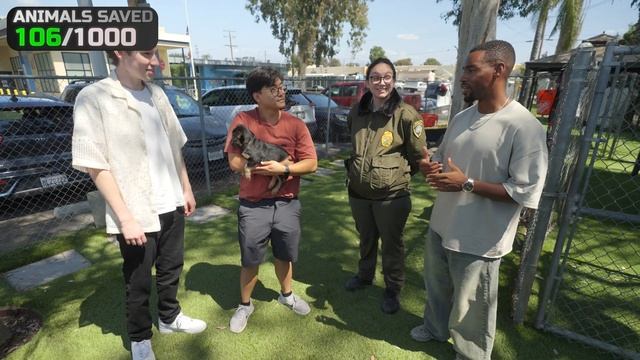 MrBeast .Я Спас 1000 Животных От Гибели. ПЕРЕЗАЛИВ смотреть онлайн