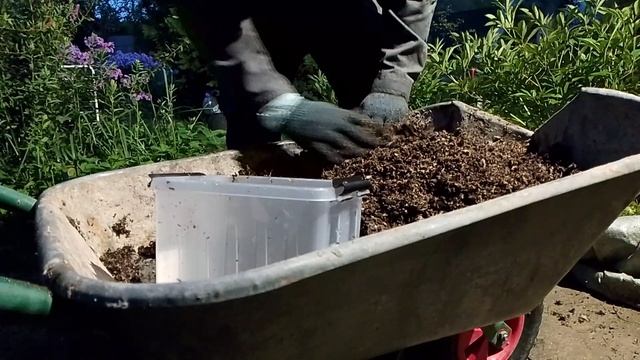 02-08-2025 Итог, картошка в мешке с опилками и с землей, дачные эксперименты :) смотреть онлайн