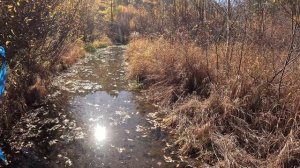 Наша не легкая поездка с другом до Николаевских столбов по грязи и крутым горам