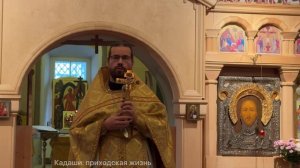 Проповедь иерея Павла Каледы в Неделю 20-ю по Пятидесятнице