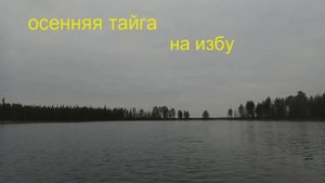 осенняя тайга на избу
