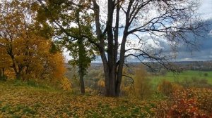 Окрестности Саввино-Сторожевского монастыря.